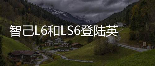 和好LS6限时19.49万元起