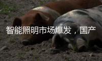 智能照明市场爆发，国产驱动IC厂商快速崛起