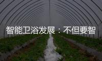智能卫浴发展：不但要智能 更要有品位