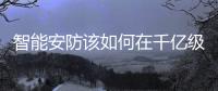 快排公司十年历程，霸屏兔 seo 的崛起与坚守