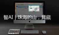 快排公司十年历程，霸屏兔 seo 的崛起与坚守