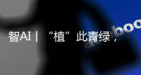 智AI丨“植”此青绿，渔女带你探访珠海古树，感受古韵里的城市记忆