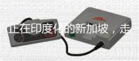 正在印度化的新加坡，走上了一条不归路
！