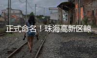 正式命名！珠海高新区鲸奇幼儿园9月“启航”招生
