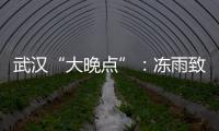武汉“大晚点”：冻雨致冰的高铁难题