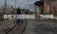 森歌不锈钢橱柜，为你带来沉浸式收纳体验