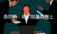 桑切斯：帕尔默是世界上最好的球员，他的发挥如同魔法一样