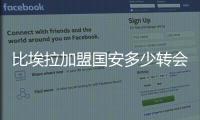 快排公司十年历程，霸屏兔 seo 的崛起与坚守