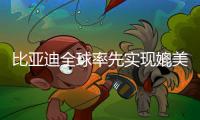 比亚迪全球率先实现媲美L4级智能泊车
，承诺中国市场全面兜底