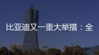 比亚迪又一重大举措：全面兜底