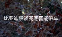 比亚迪承诺兜底智能泊车！媲美L4级体验，出了问题官方赔付