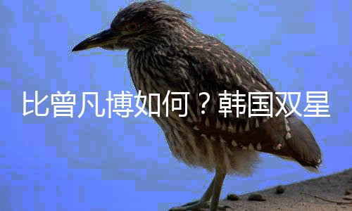 王泉泽等都是凡博同一批队员