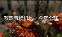 欧盟气候机构：今年全球气温经历有记录以来第二热的5月