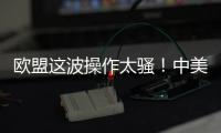 欧盟这波操作太骚！中美刚要联手绞杀，它竟想左右逢源
	？