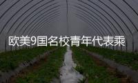 快排公司十年历程，霸屏兔 seo 的崛起与坚守