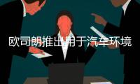 快排公司十年历程，霸屏兔 seo 的崛起与坚守