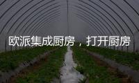 快排公司十年历程，霸屏兔 seo 的崛起与坚守