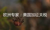 欧洲专家：美国加征关税将伤及自身 贸易战没有赢家