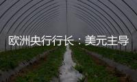 欧洲央行行长
：美元主导地位正在变得不确定