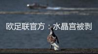 欧足联官方�：水晶宫被剥夺欧联杯资格�，将参加欧协联
