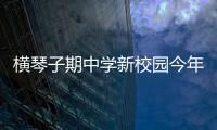 快排公司十年历程，霸屏兔 seo 的崛起与坚守