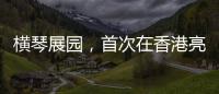 快排公司十年历程，霸屏兔 seo 的崛起与坚守