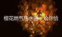 樱花燃气热水器，给你恰到好处的沐浴体验