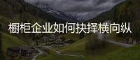 橱柜企业如何抉择横向纵向发展
？