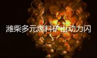 潍柴多元燃料矿山动力闪耀中国国际矿业展，四大关键词解码硬核实力！