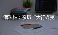 潘功胜：亲历“大行蝶变”
，擅长风险处置