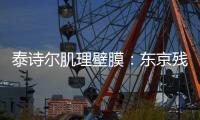 快排公司十年历程，霸屏兔 seo 的崛起与坚守