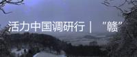 活力中国调研行｜“赣”出美丽！这里的乡村景美民富