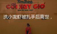 快排公司十年历程，霸屏兔 seo 的崛起与坚守