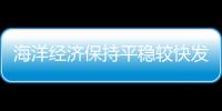 快排公司十年历程，霸屏兔 seo 的崛起与坚守