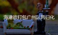 快排公司十年历程，霸屏兔 seo 的崛起与坚守