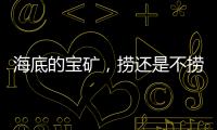 海底的宝矿
，捞还是不捞
？｜世界海洋日