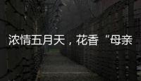 浓情五月天
�，花香“母亲节”�！担杆镇海岛之家开展母亲节插花活动
