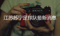 江苏苏宁足球队最新消息：俱乐部停止运营