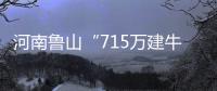 河南鲁山“715万建牛郎织女雕塑”调查两年仍无结论？市纪检委：还在调查，涉及保密