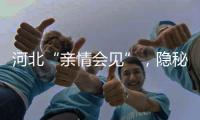 快排公司十年历程，霸屏兔 seo 的崛起与坚守
