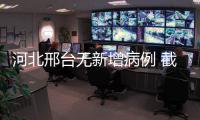 快排公司十年历程，霸屏兔 seo 的崛起与坚守