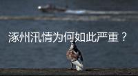 涿州汛情为何如此严重？救援有何难点
？