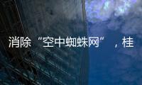 消除“空中蜘蛛网”，桂山镇整治“头顶难题”见成效