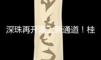 快排公司十年历程，霸屏兔 seo 的崛起与坚守