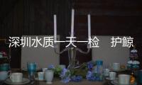 快排公司十年历程，霸屏兔 seo 的崛起与坚守