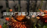深圳大厂暴雷
！深夜突然宣布停工，员工集体失业，老板疑似已跑路