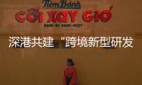 快排公司十年历程，霸屏兔 seo 的崛起与坚守