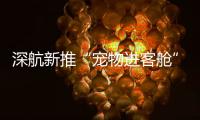 深航新推“宠物进客舱”服务，旅客可携“毛孩子”一同乘机啦！