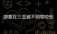 游客在三亚被不明物咬伤后身亡，官方通报：已成立调查组