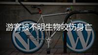 游客被不明生物咬伤身亡，三亚通报救治详情